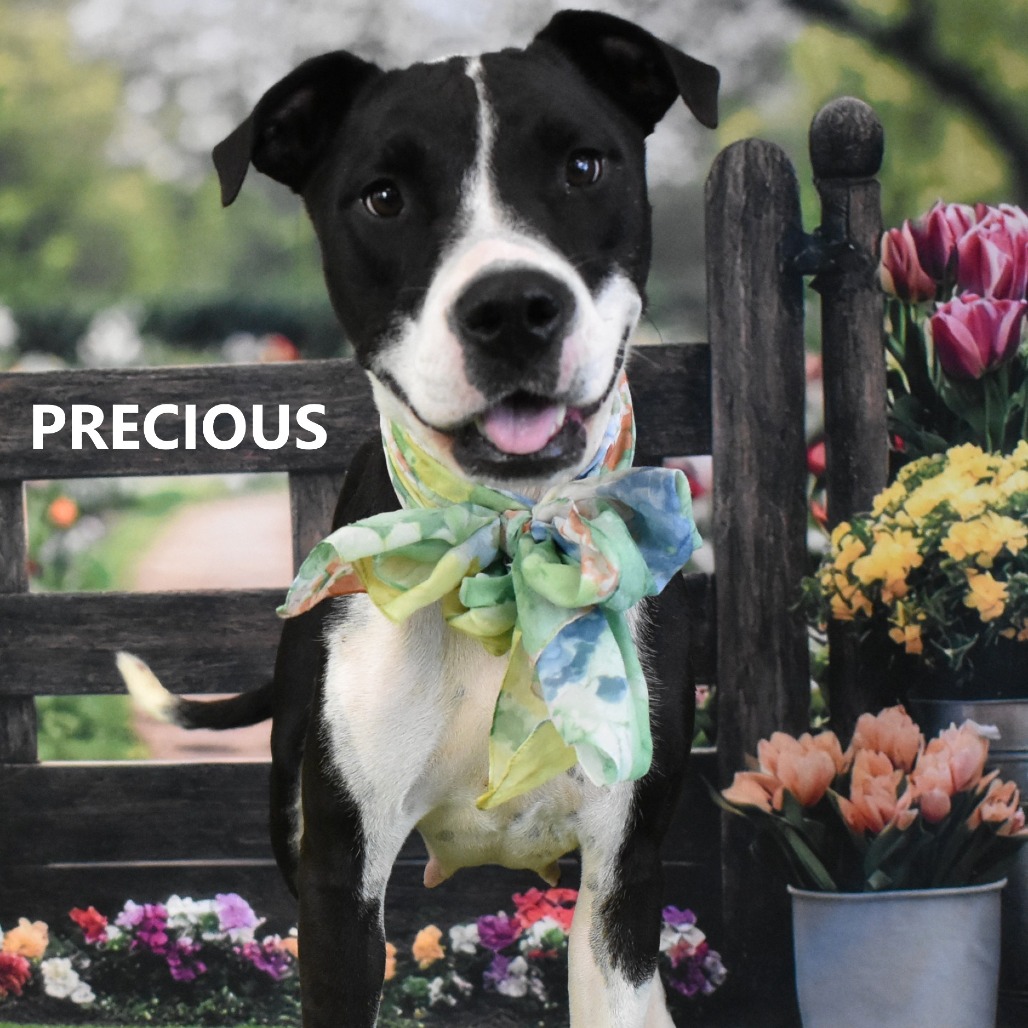 Precious