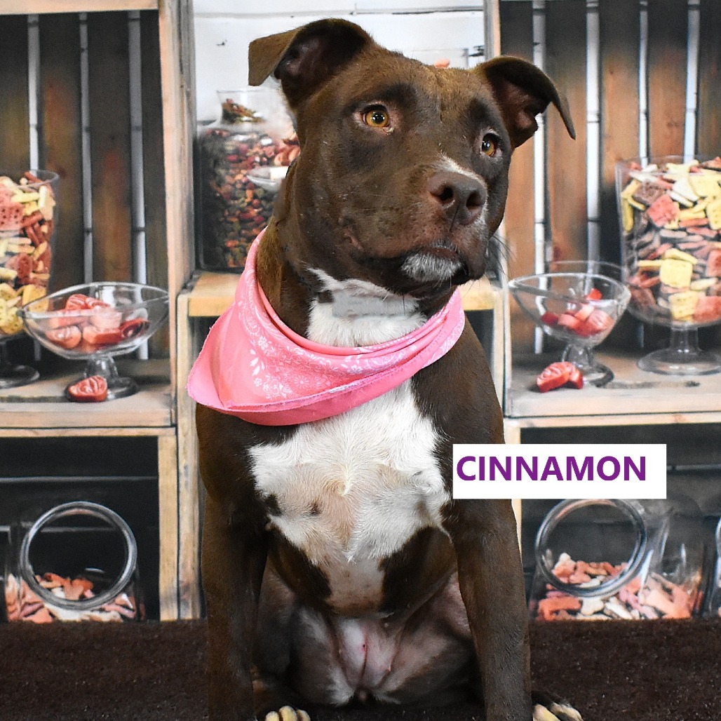 Cinnamon
