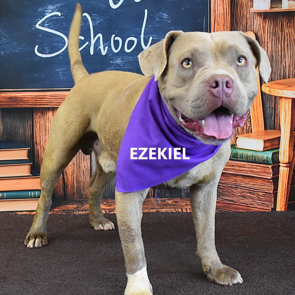 Ezekiel