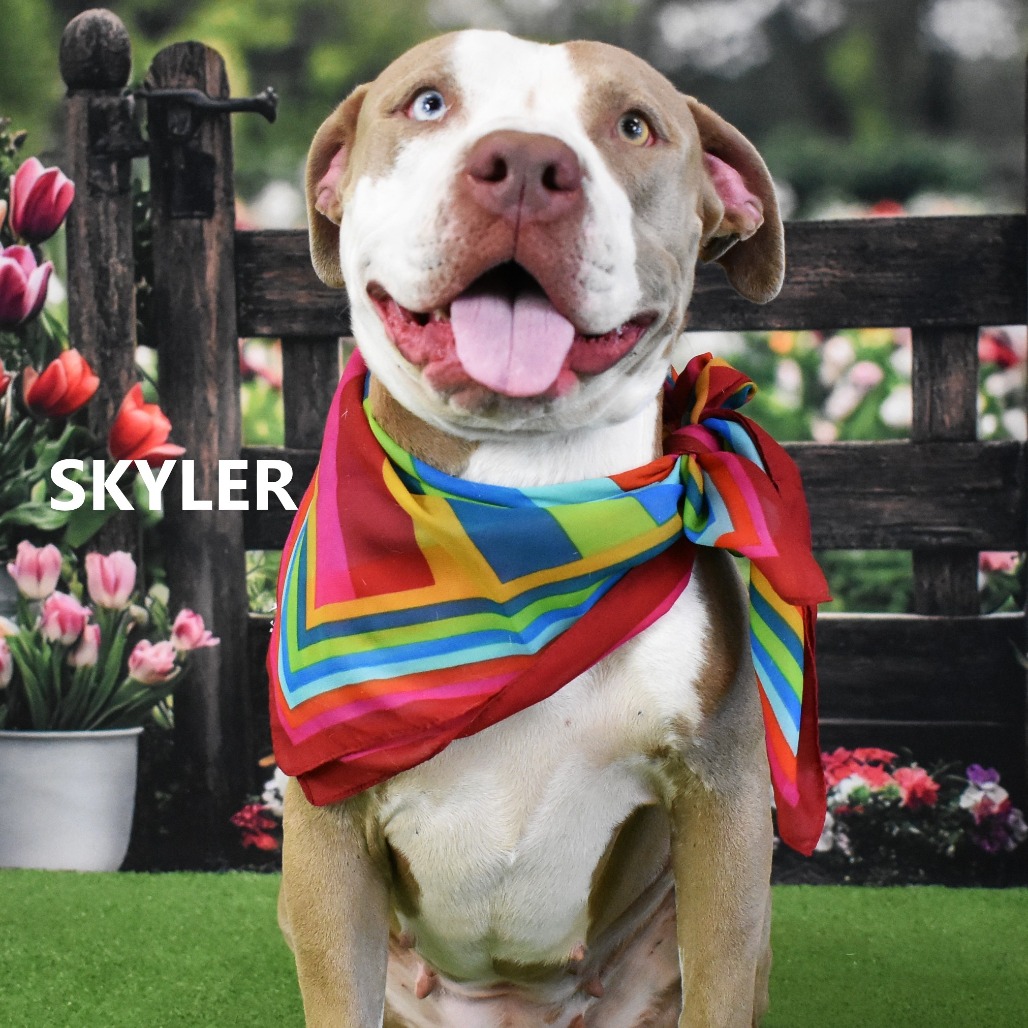 Skyler