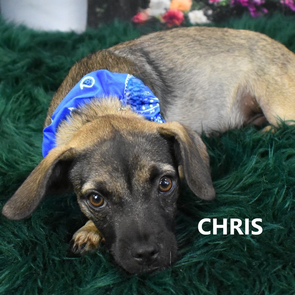 Chris