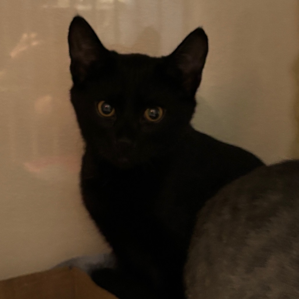 Salem