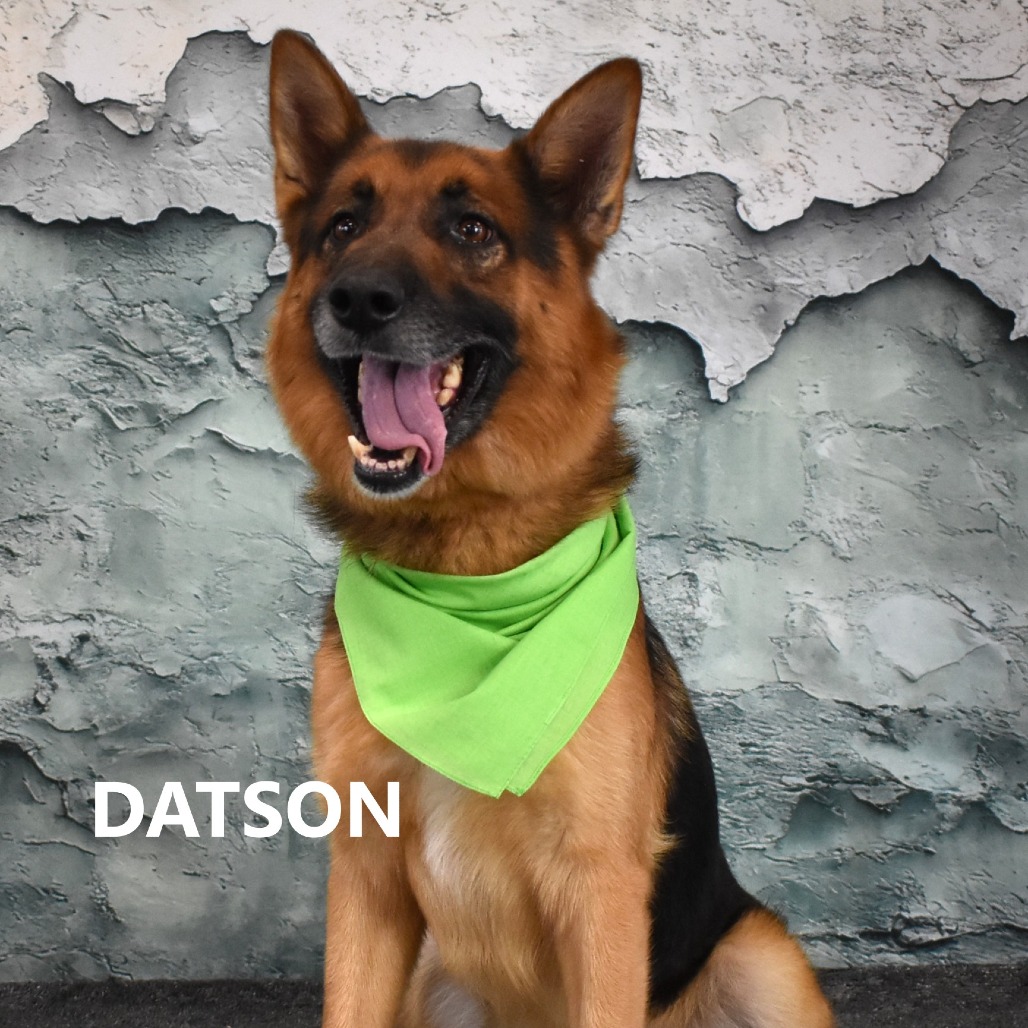 Datson