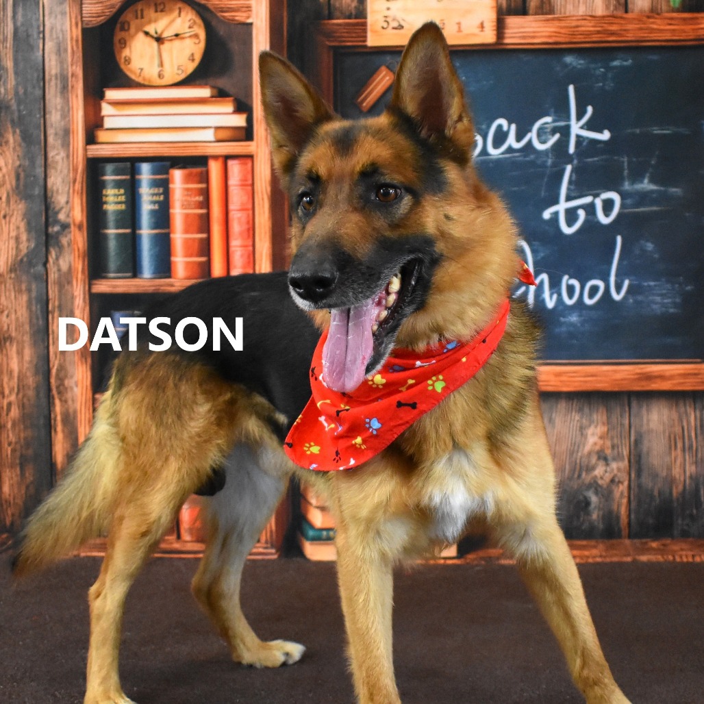 Datson