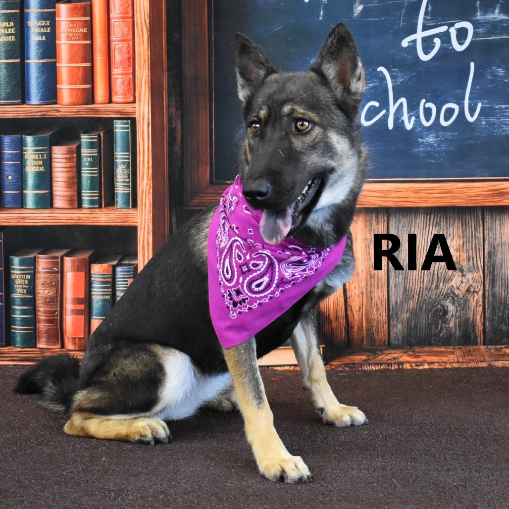 Ria