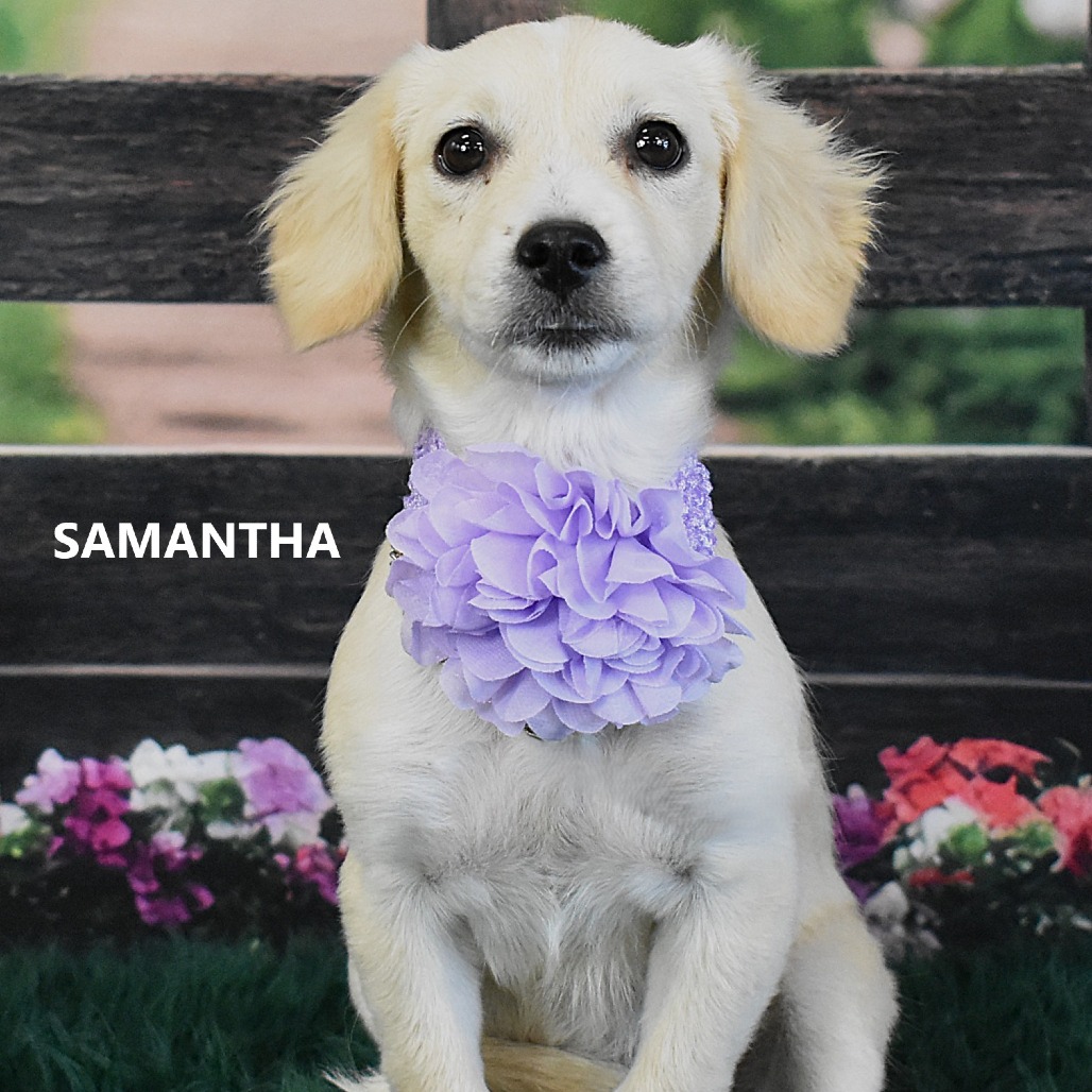 Samantha