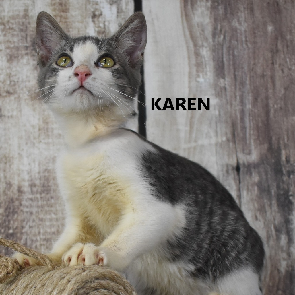 Karen