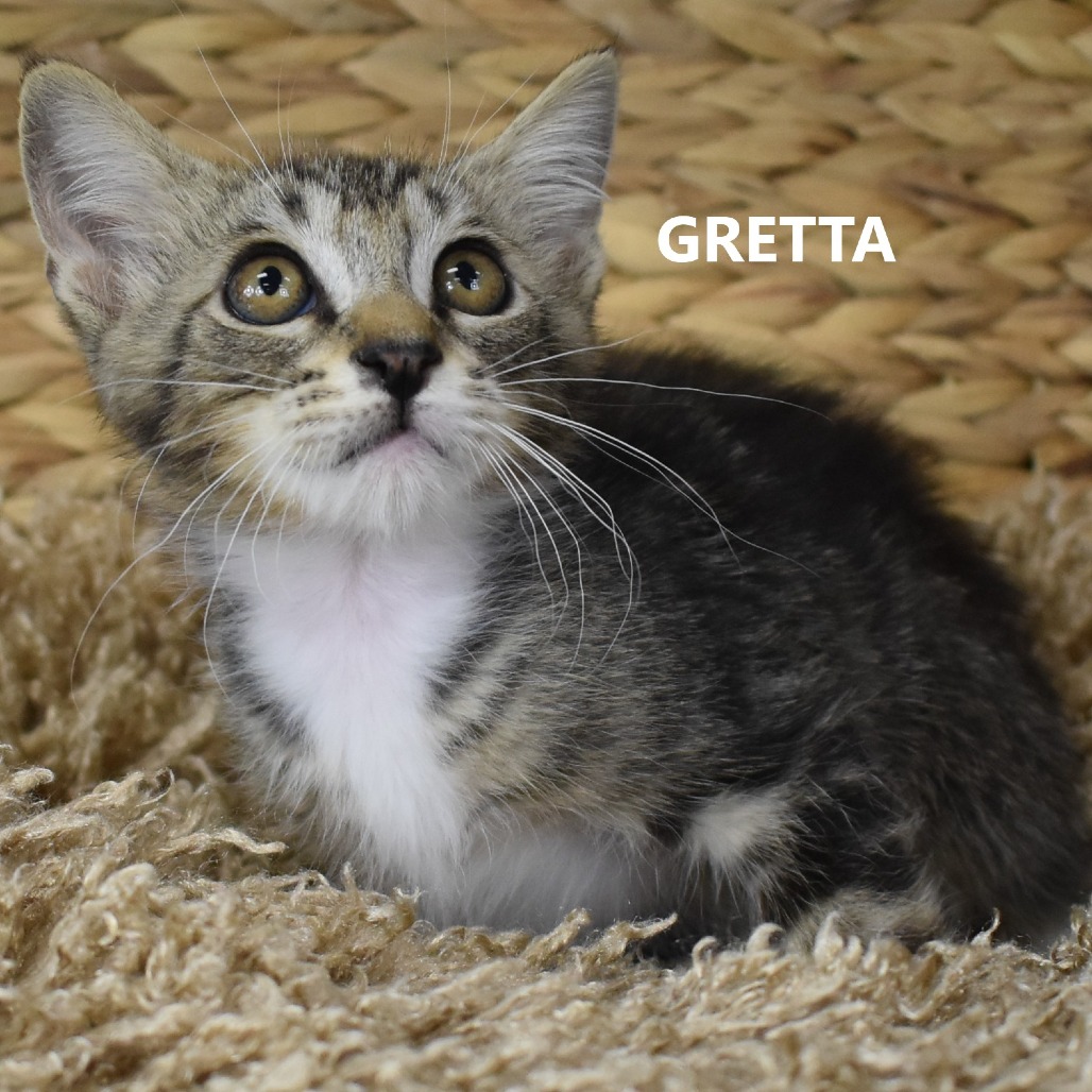 Gretta