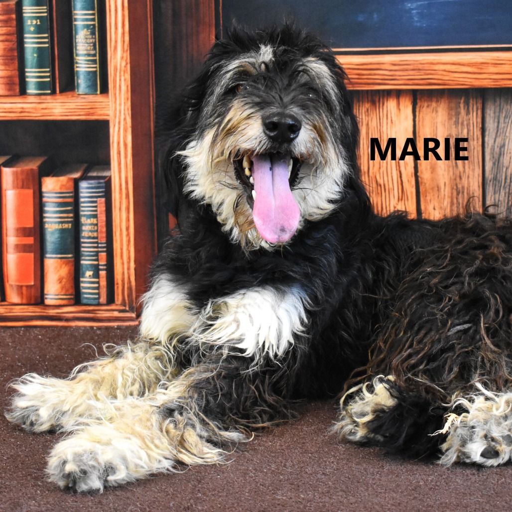 Marie