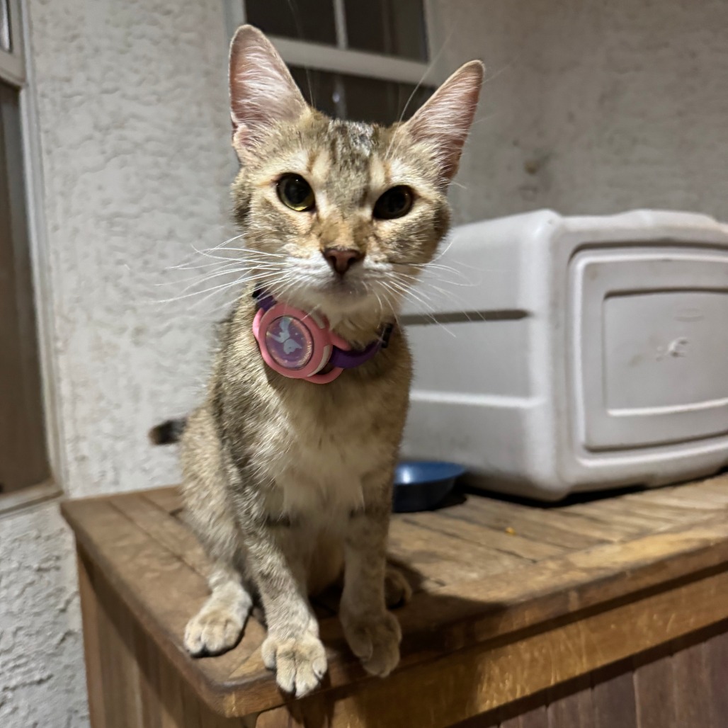 Luna