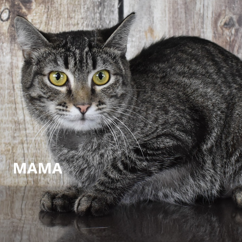 Mama