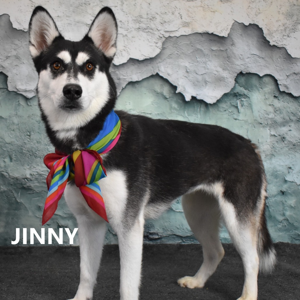 Jinny