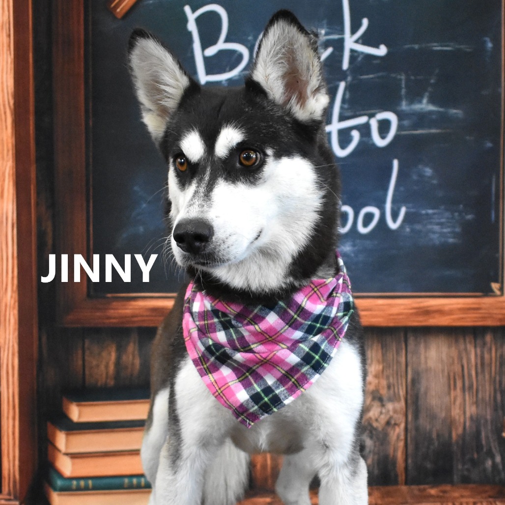 Jinny