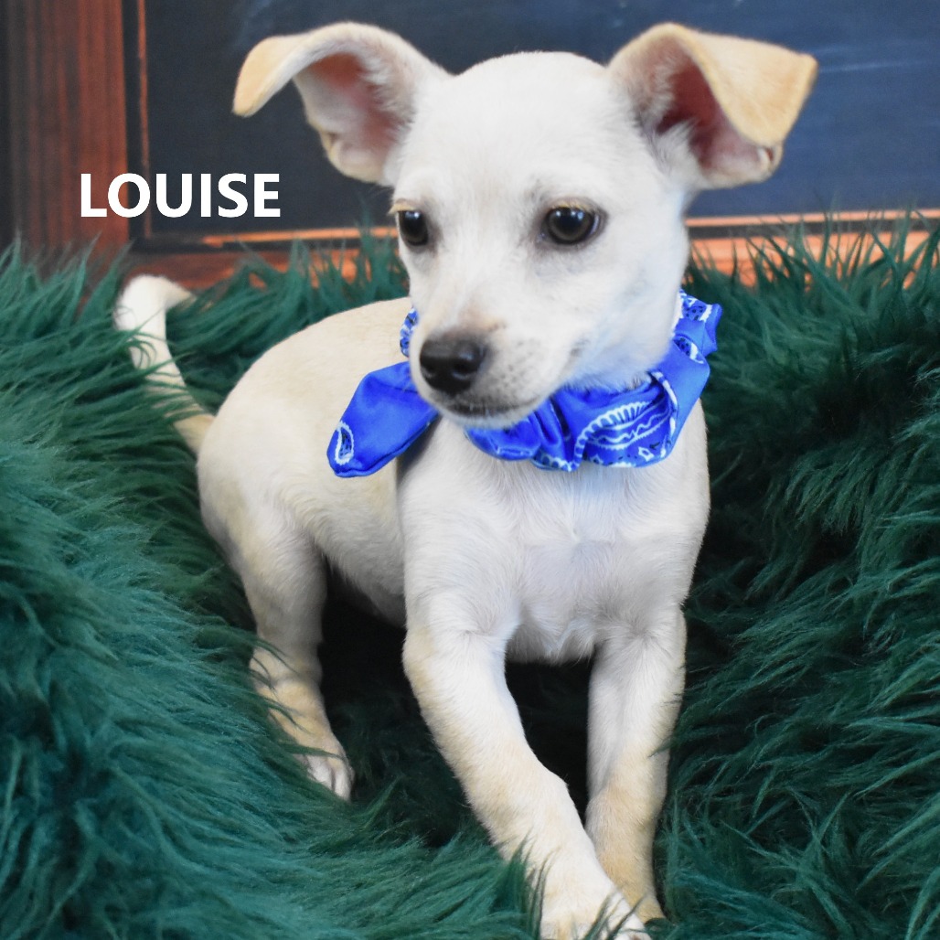 Louise