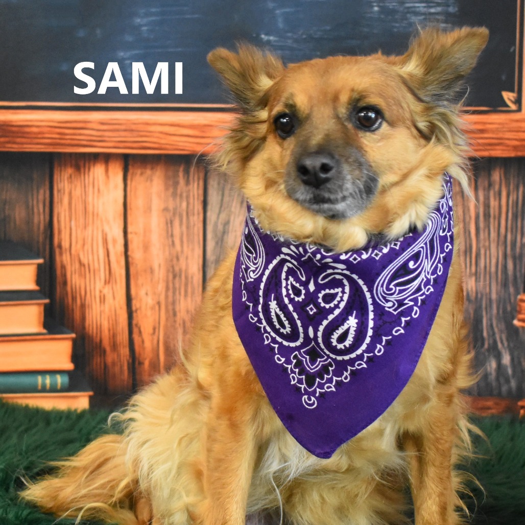 Sami