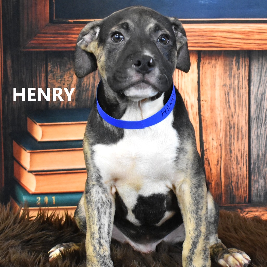Henry