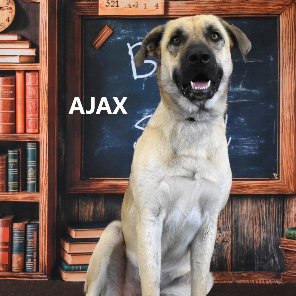 Ajax