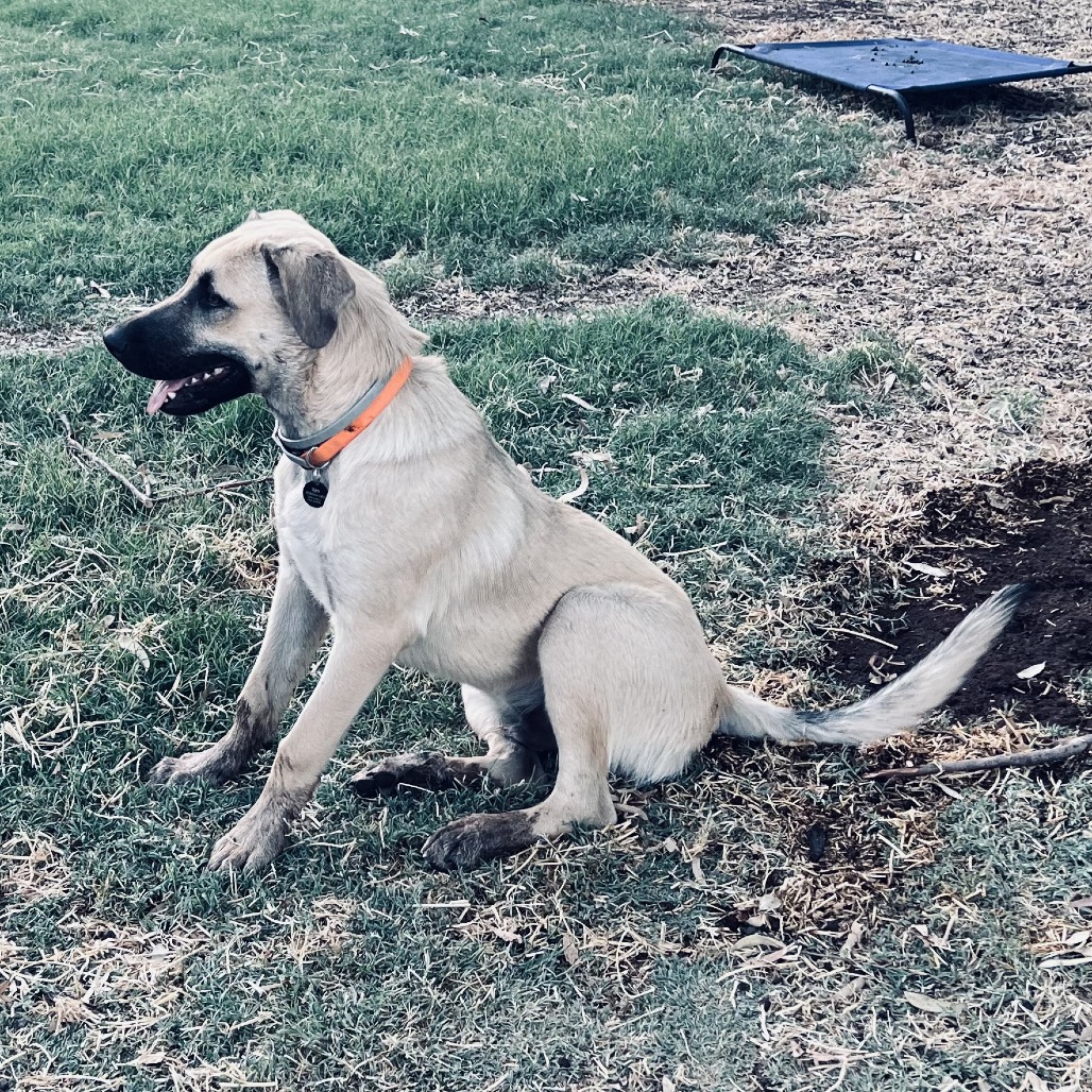 Ajax