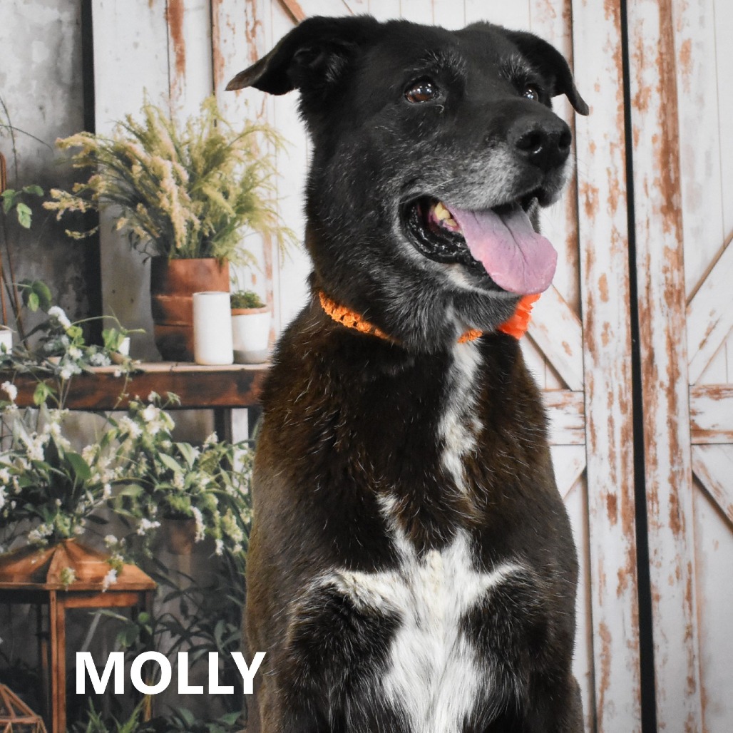 Molly