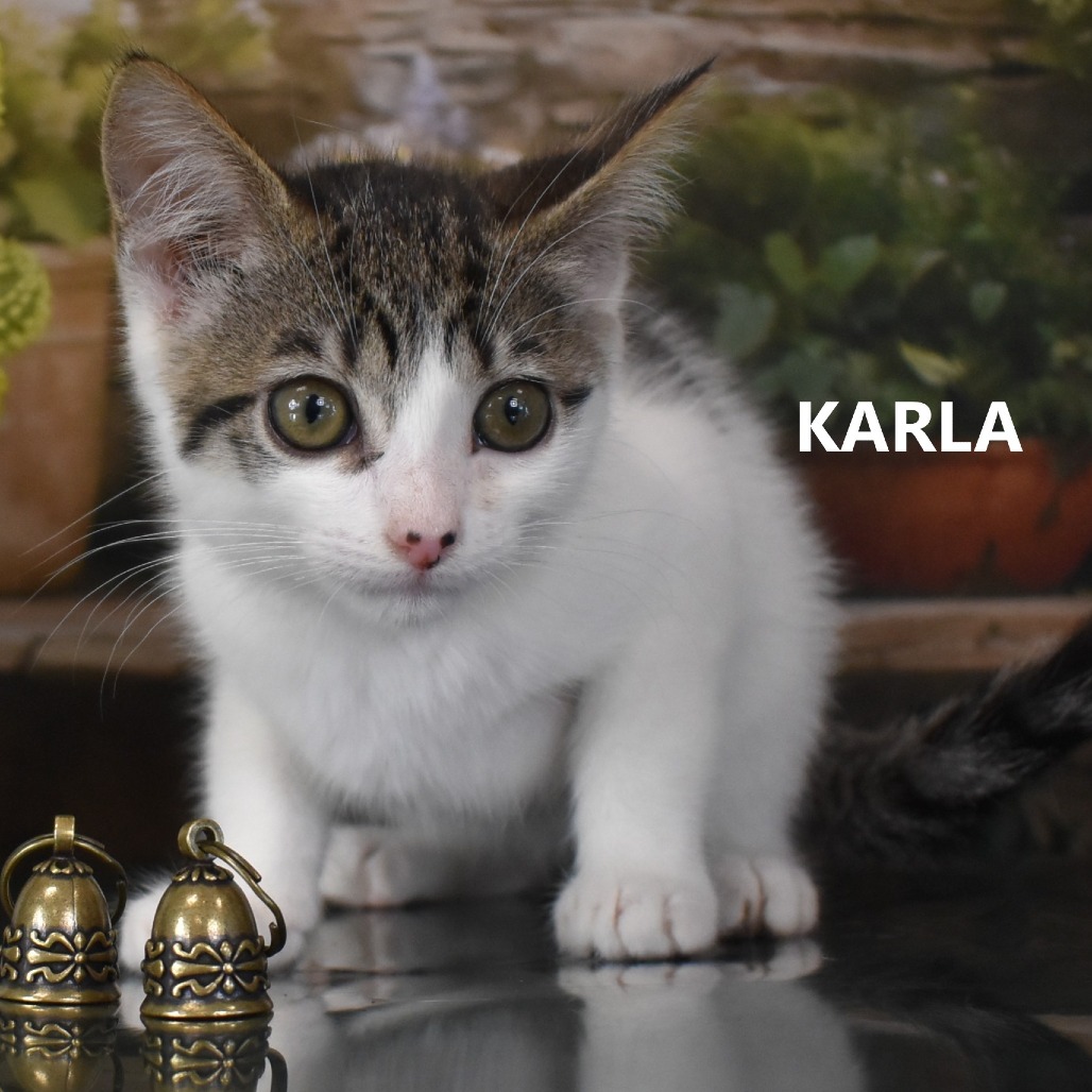 Karla