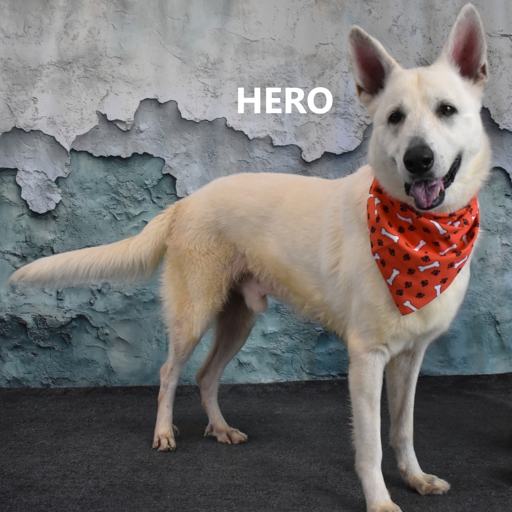 Hero