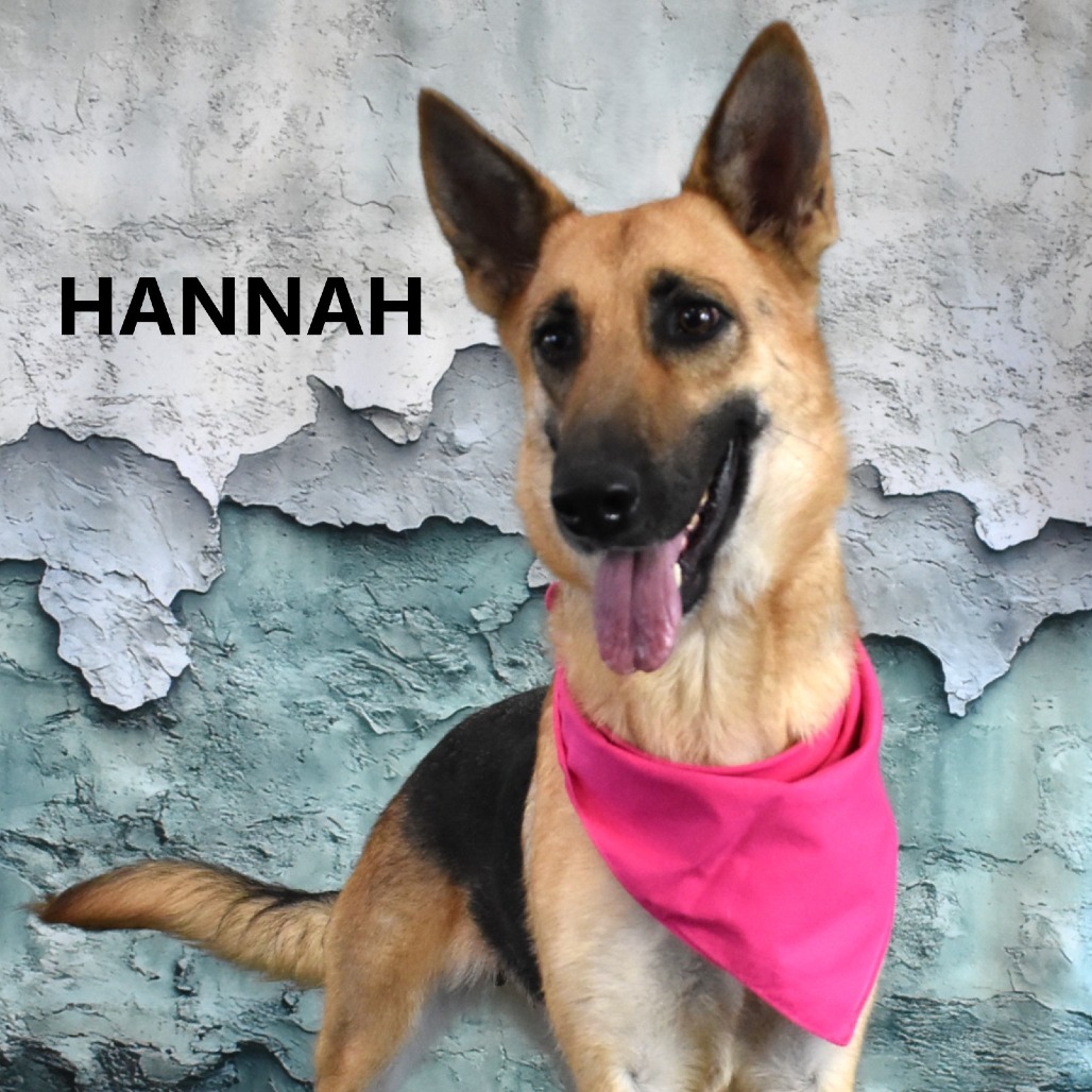 Hannah