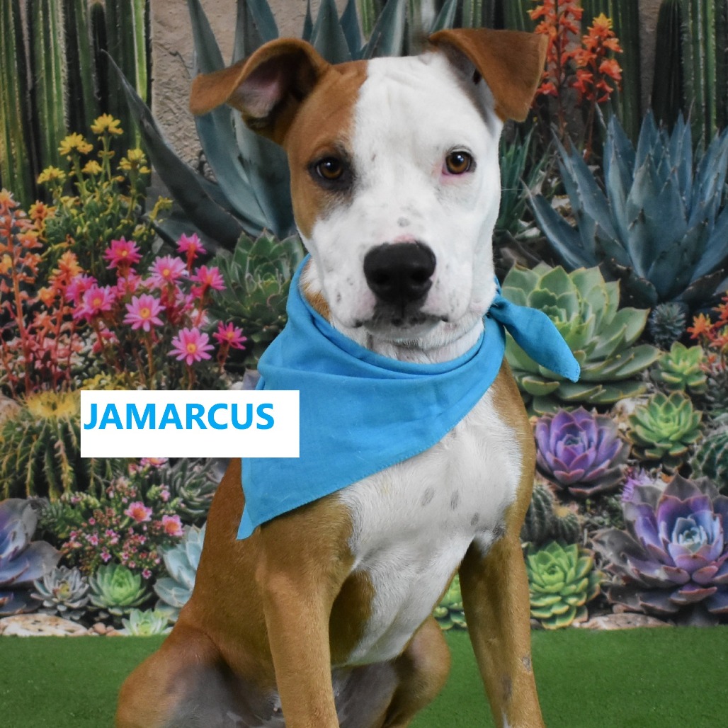 Jamarcus