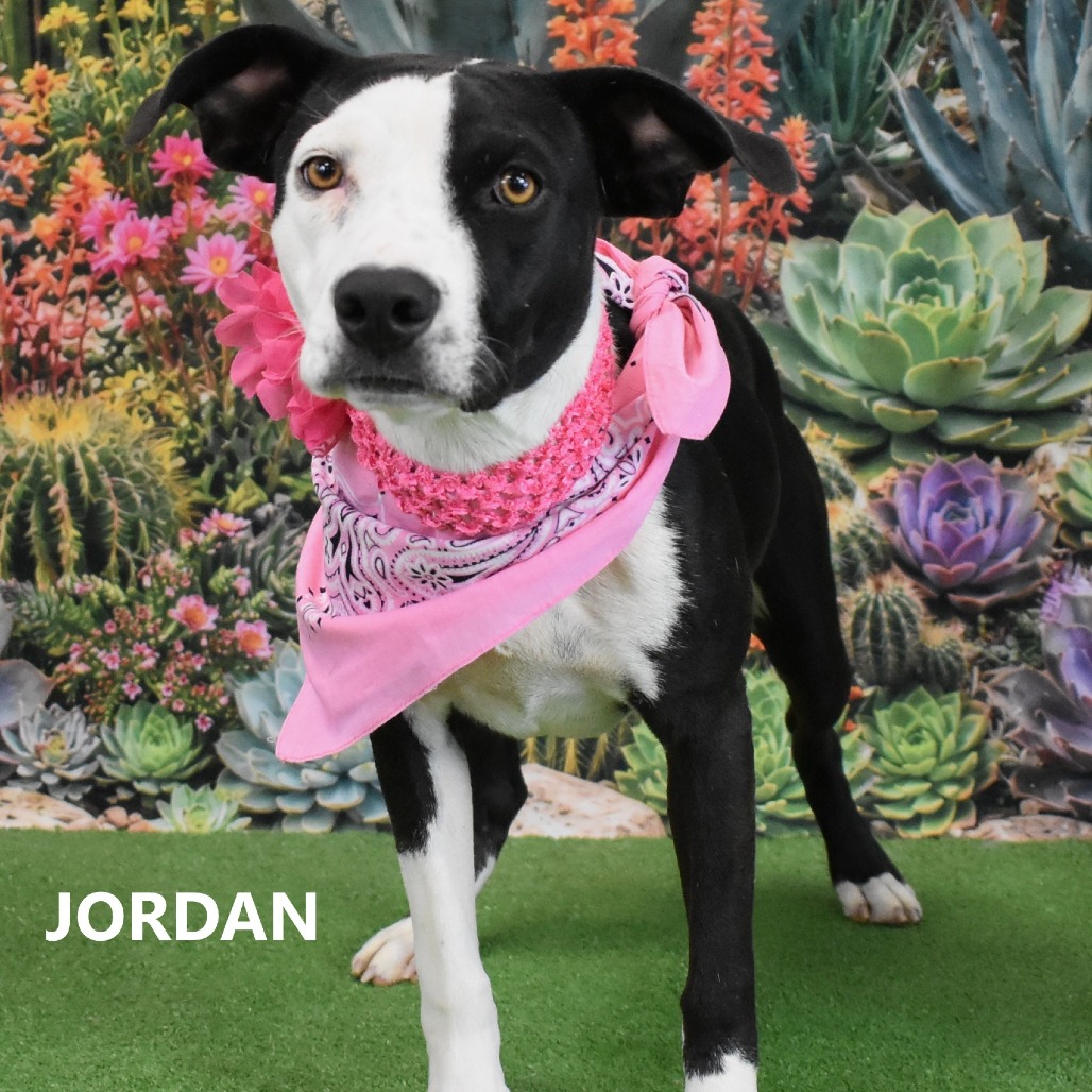 Jordan