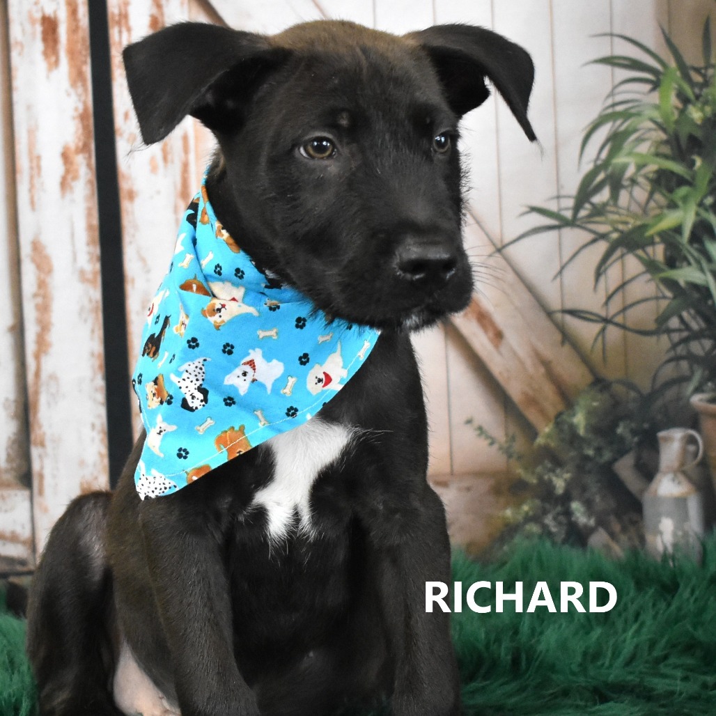 Richard