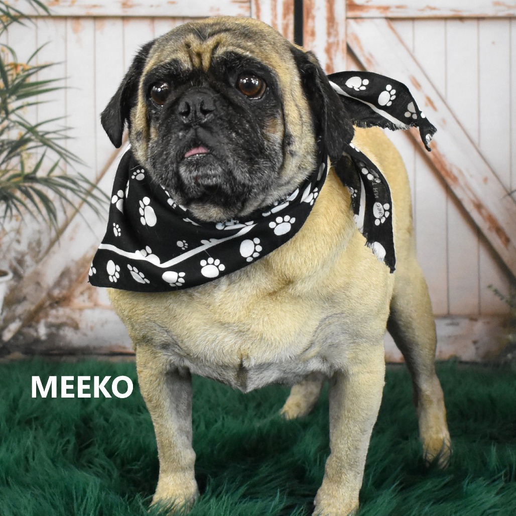 Meeko