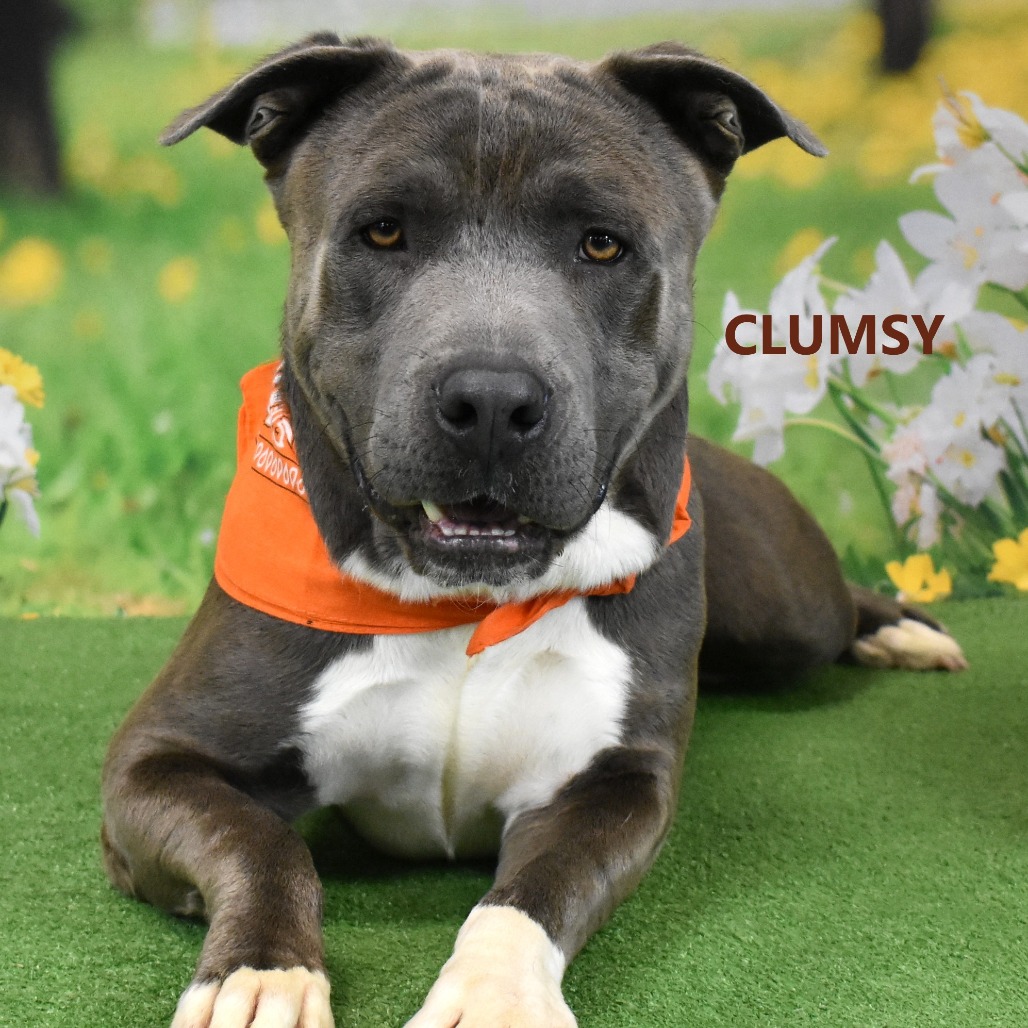 Clumsy
