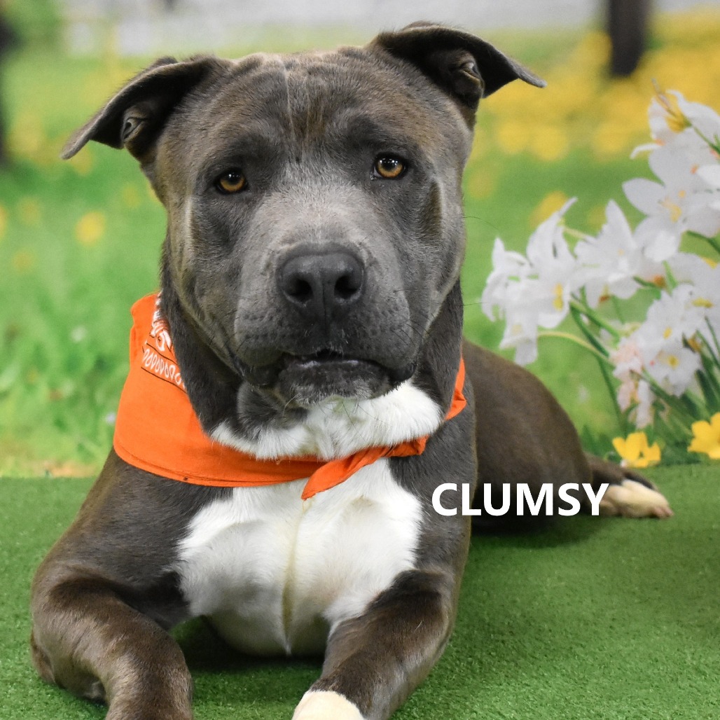 Clumsy