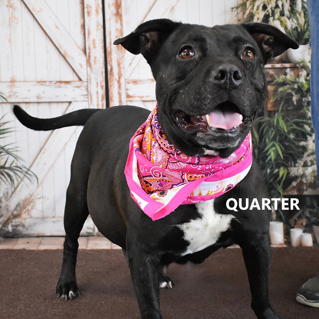 Quarter