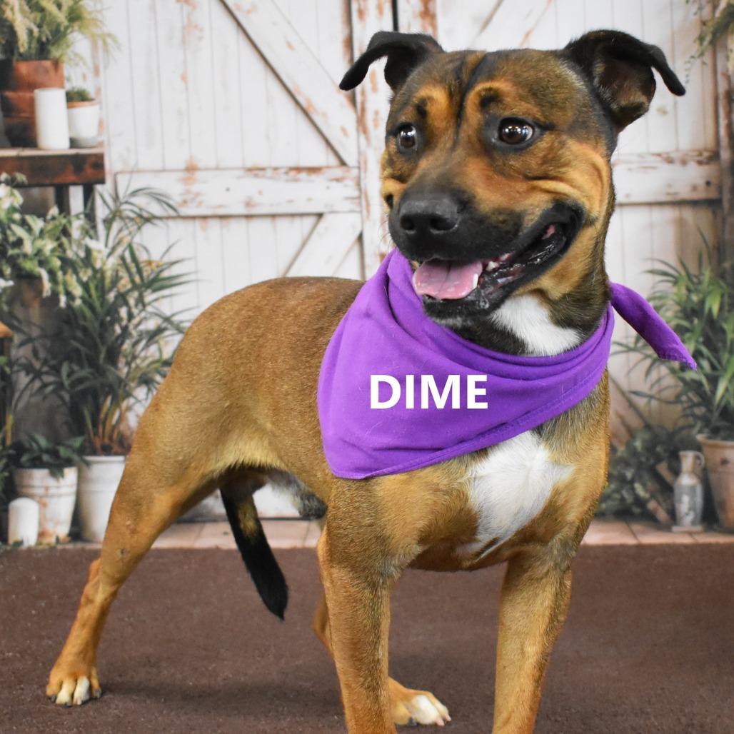 Dime