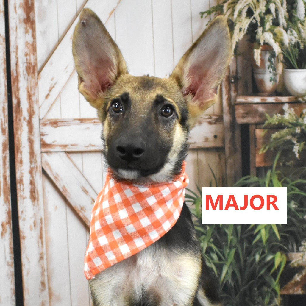 Major