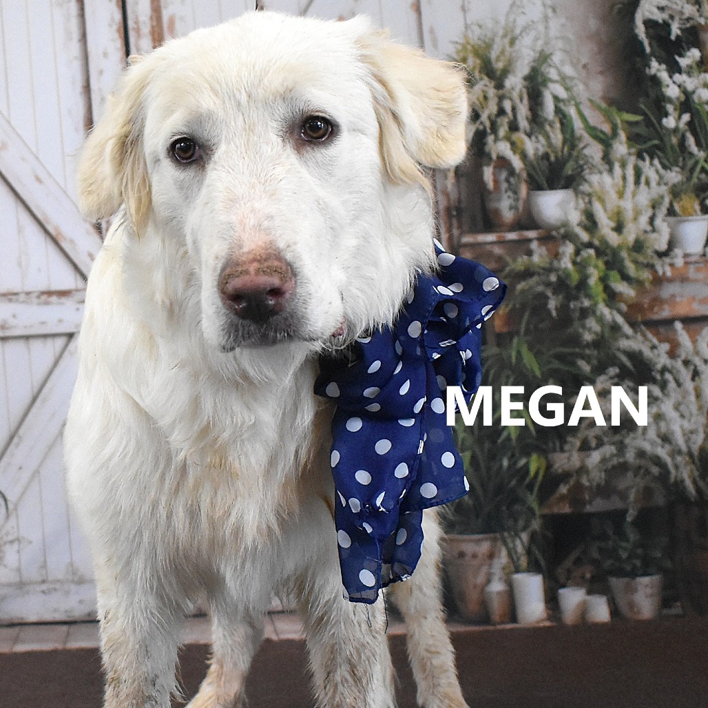 Megan