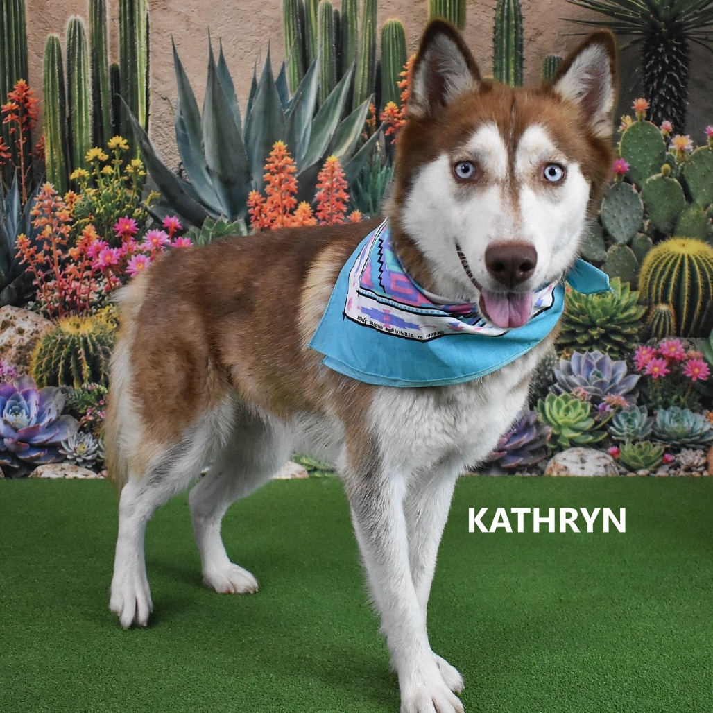 Kathryn