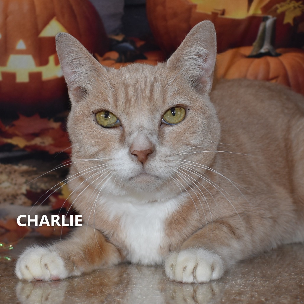 Charlie