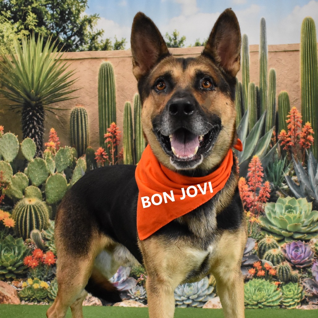 Bon Jovi