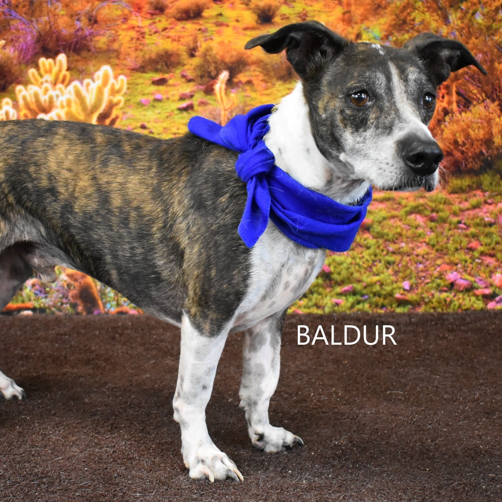 Baldur 