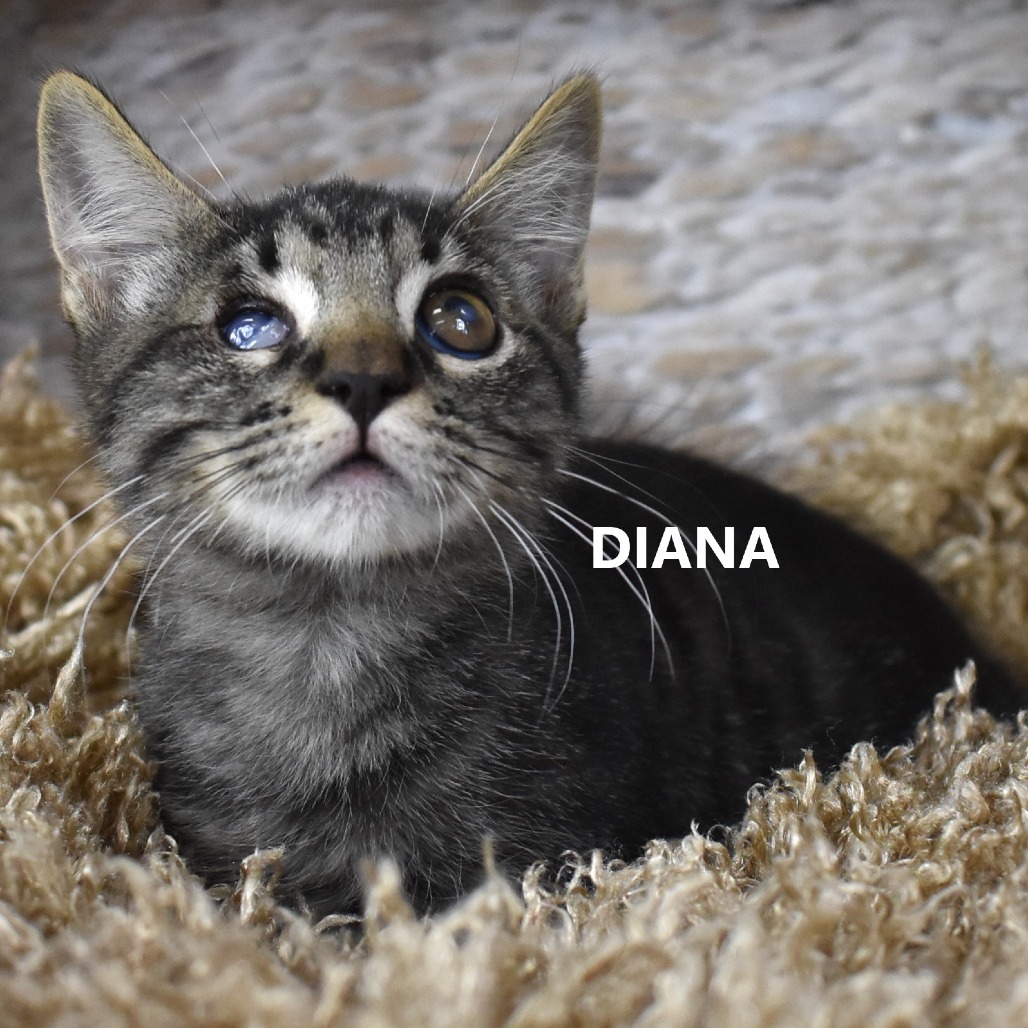 Diana