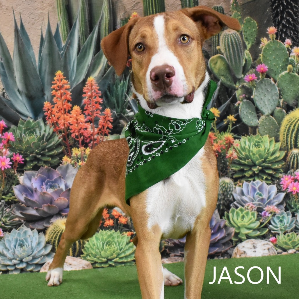 Jason