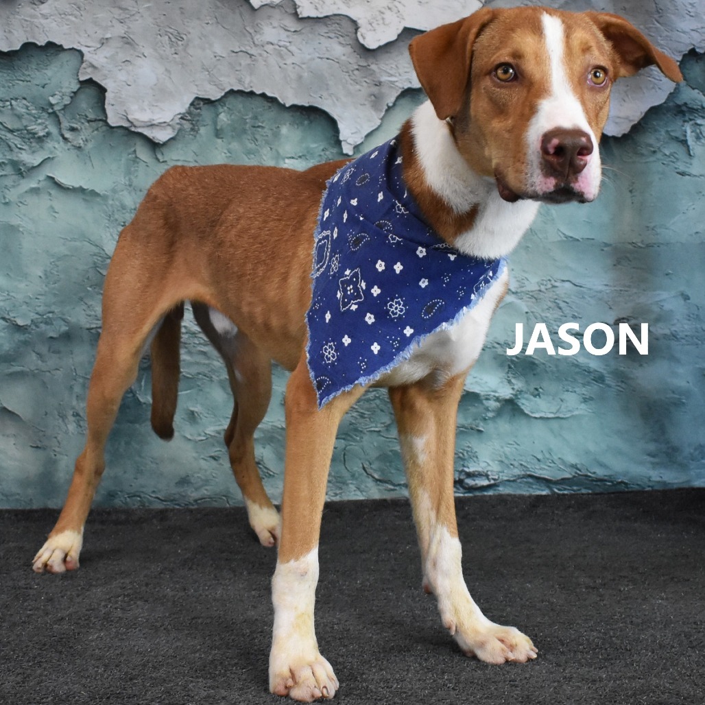 Jason