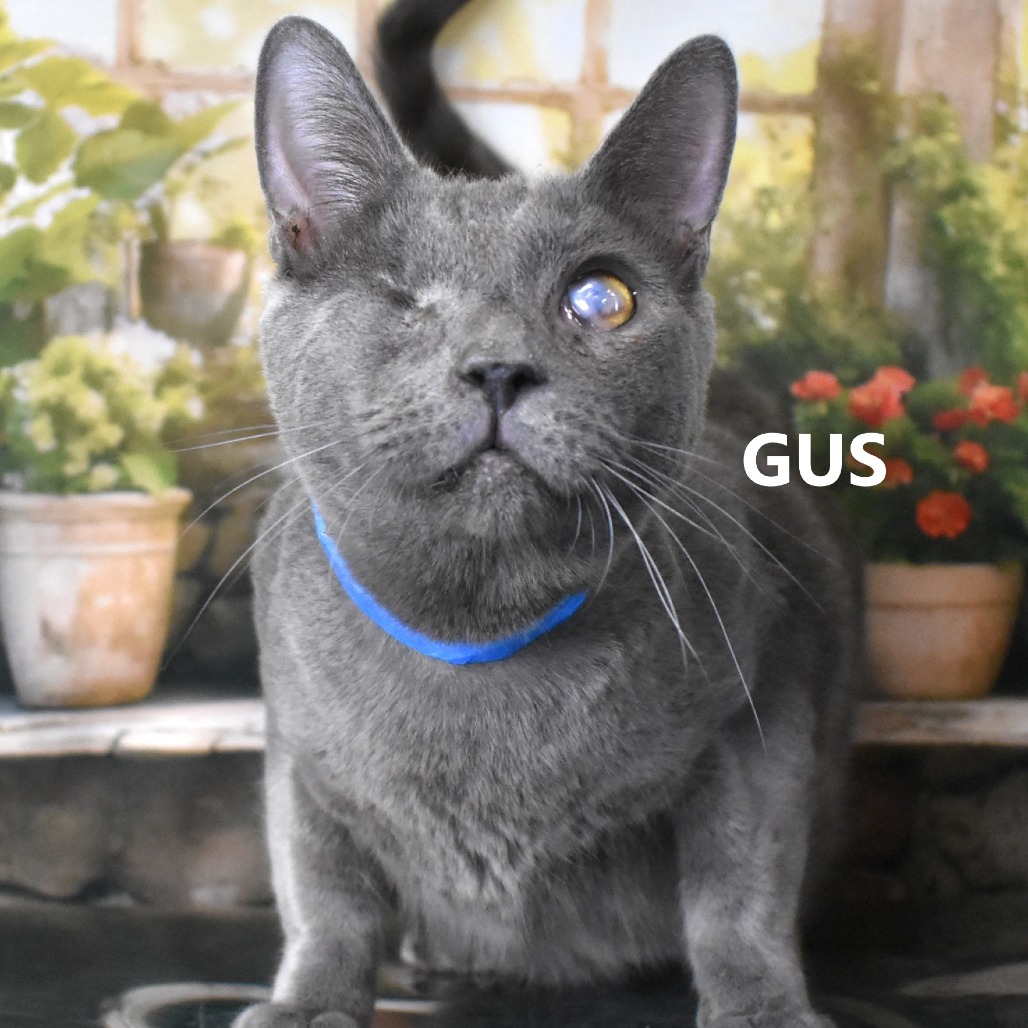 Gus
