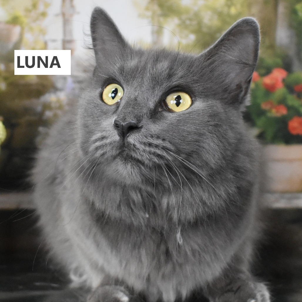 Luna