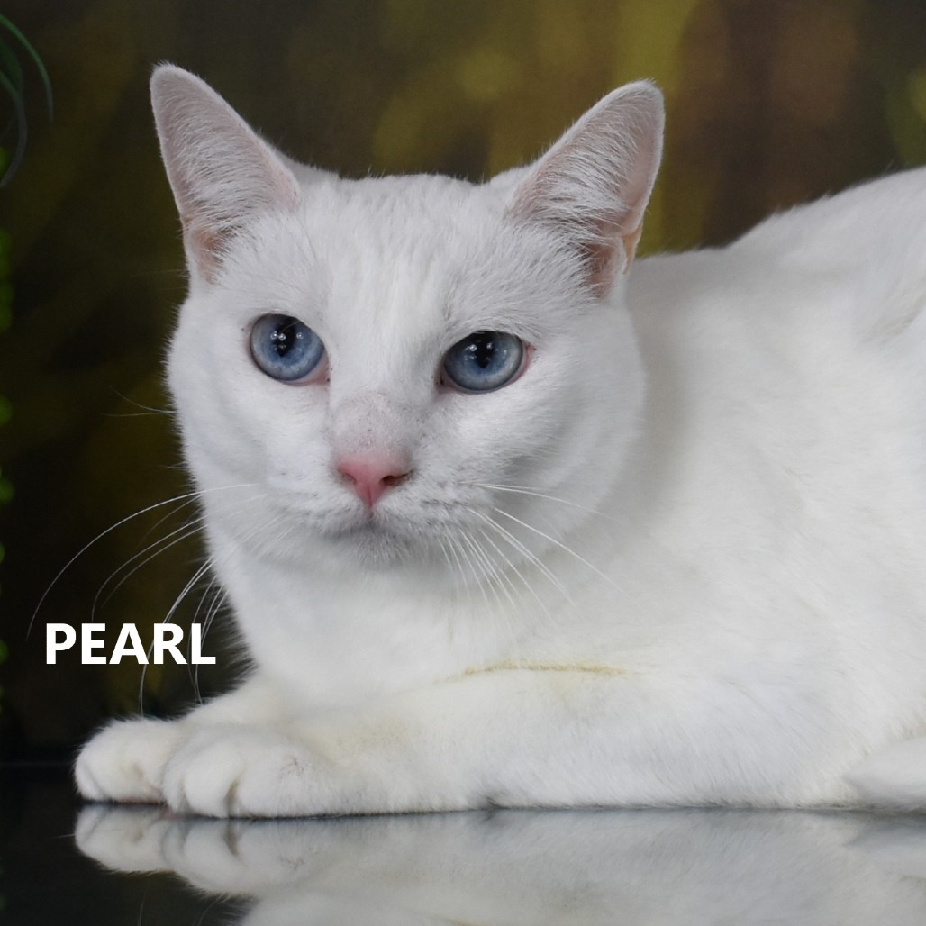 Pearl