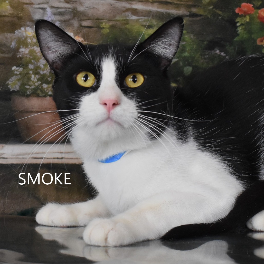 Smoke