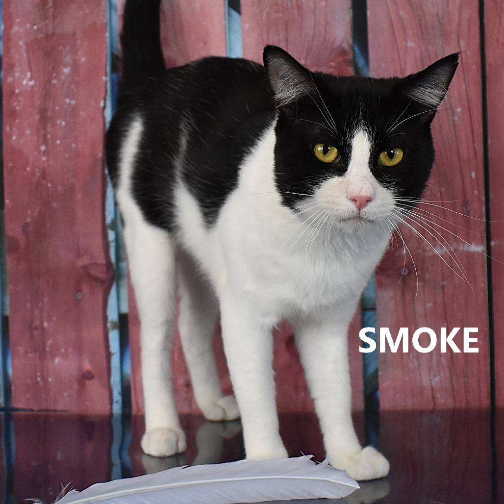 Smoke