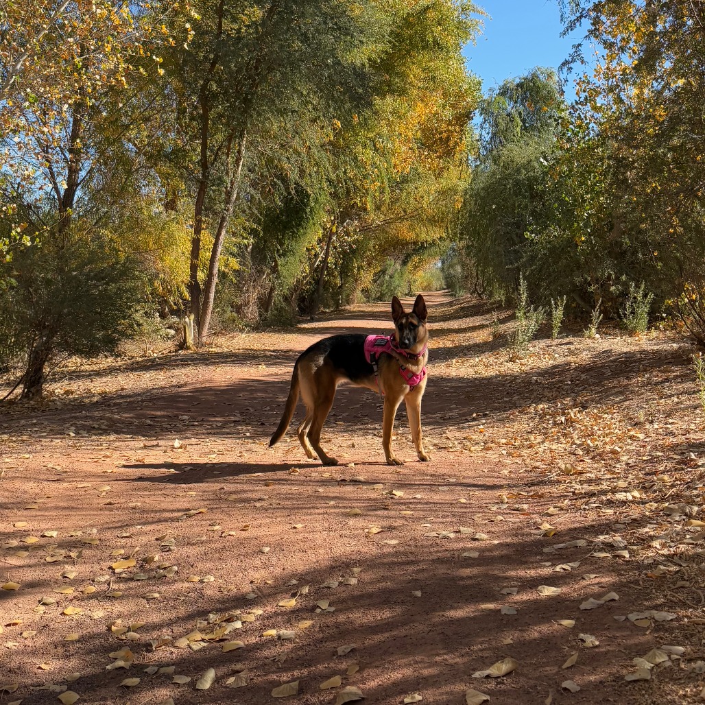 Lily