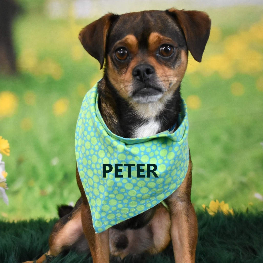 Peter